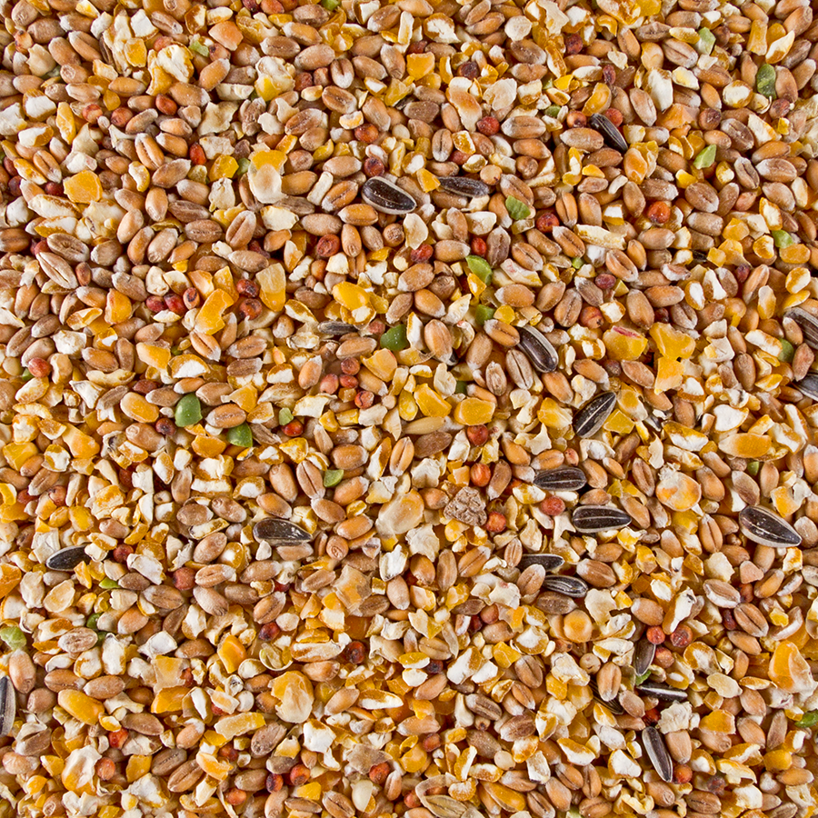 BROKEN GRAIN MIX 20KG