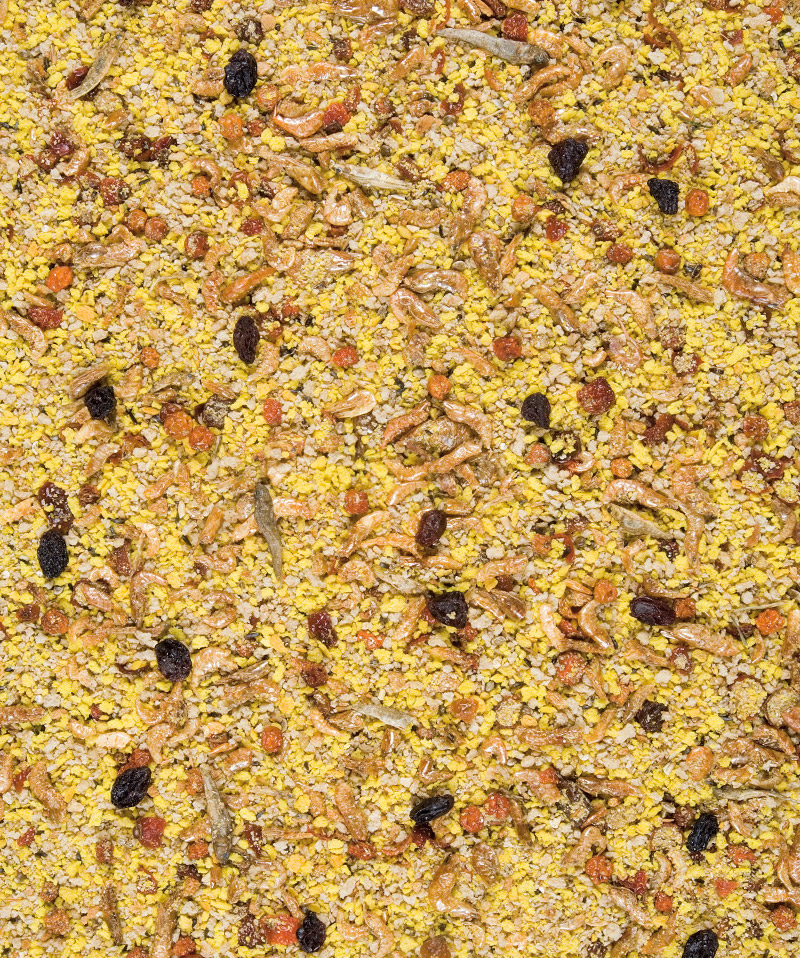 EGGFOOD LARGE PARROTS & PARAKEETS 800g
