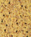 EGGFOOD LARGE PARROTS & PARAKEETS 800g