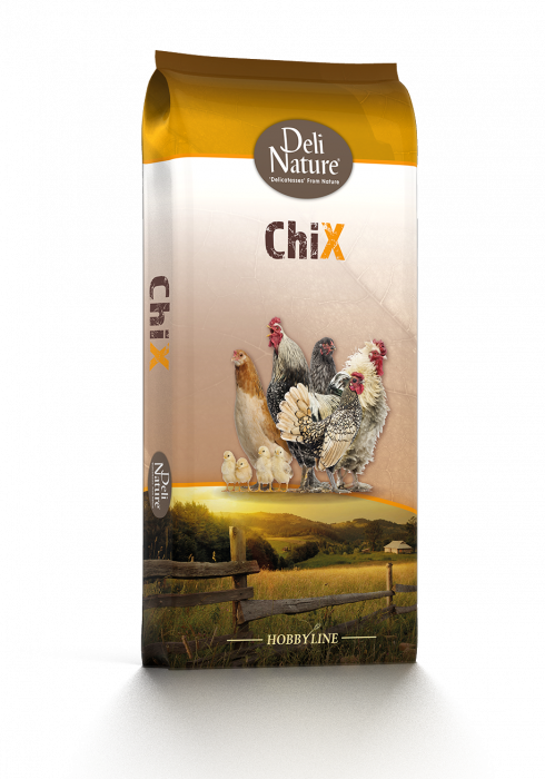 CHIX LAYING MEAL