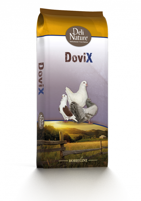 CARDINAL BIRD SMALL DOVE 20kg