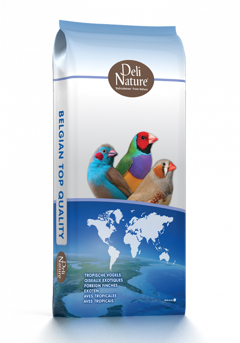 41 - FOREIGN FINCHES BREEDING