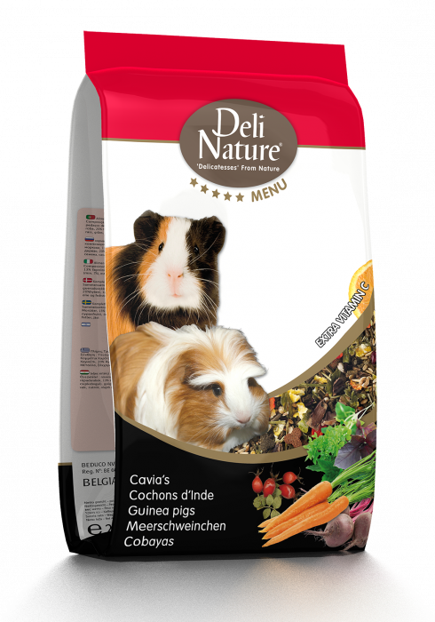DN 5* GUINEA-PIGS 750GR