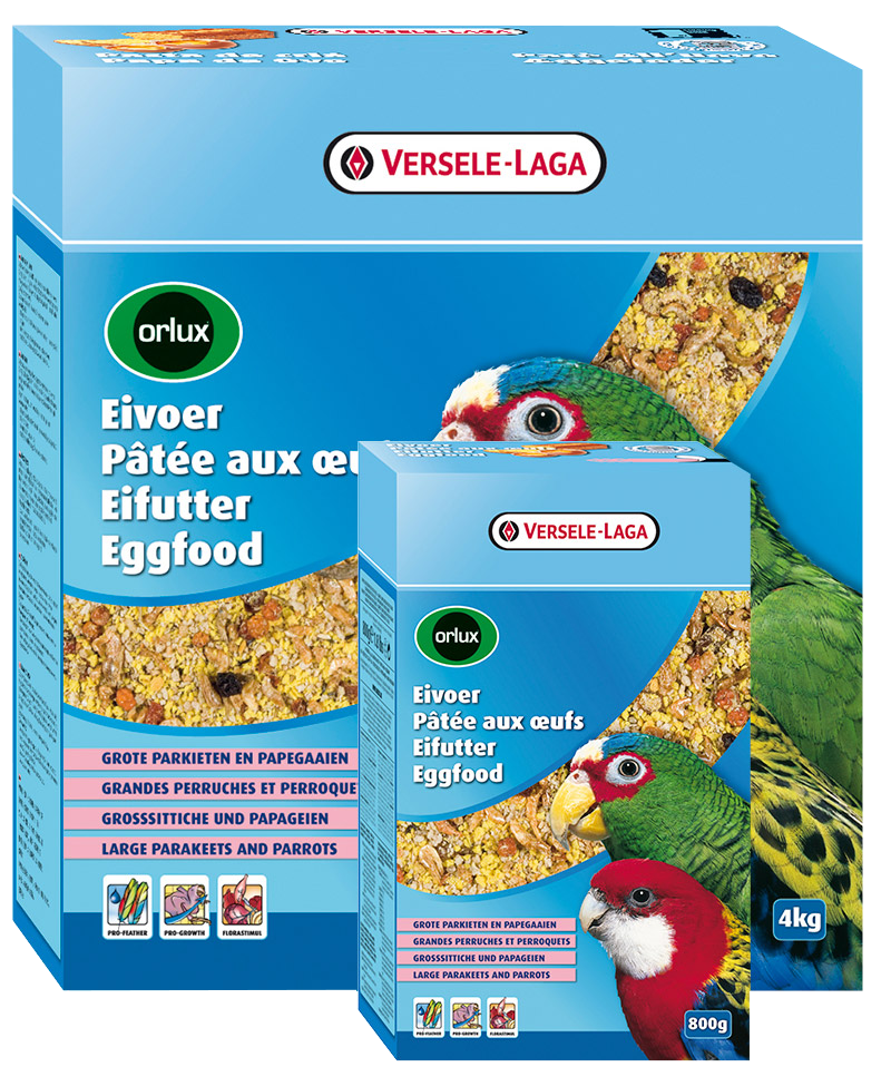 Eggfood Dry Large Parakeet & Parrot 4KG