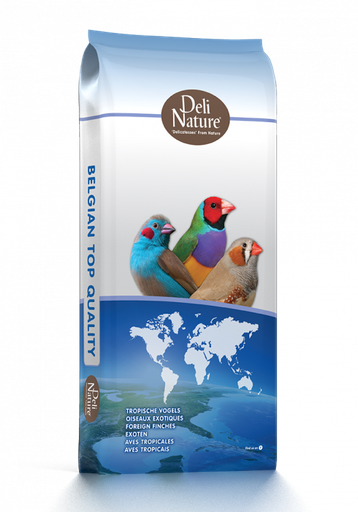 41 - FOREIGN FINCHES BREEDING