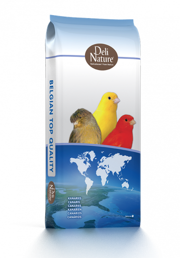 CARDINAL BIRD CANARY